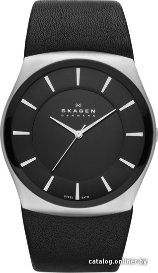 

Наручные часы Skagen SKW6017