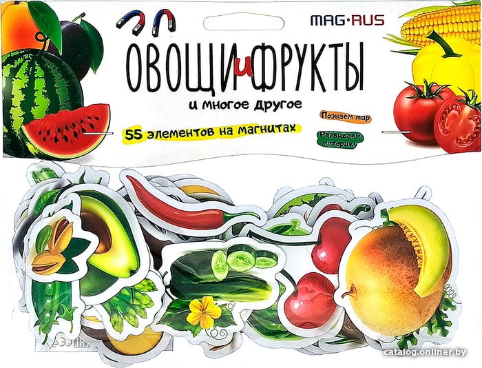 

Развивающая игра Анданте Mag-Rus Овощи, фрукты разные продукты. Познаем мир NF1051