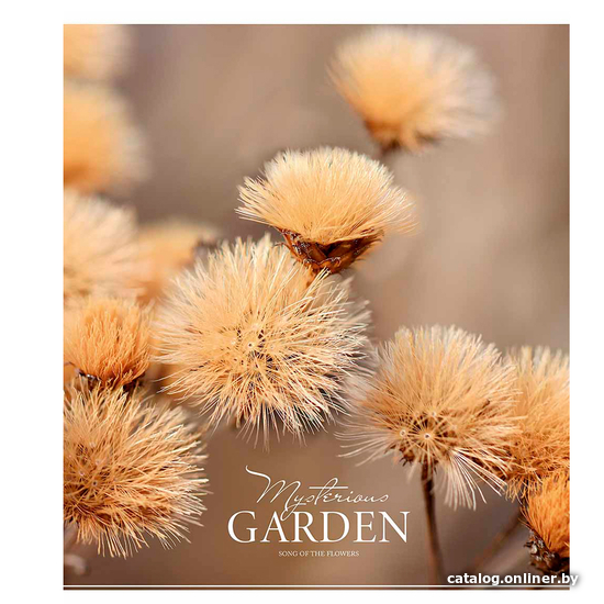 

Полуобщая тетрадь Школярик Mysterious Garden 048-3004K/71354 (ассорти)