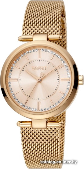 

Наручные часы Esprit ES1L251M0065