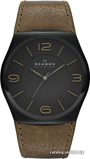 

Наручные часы Skagen SKW6042