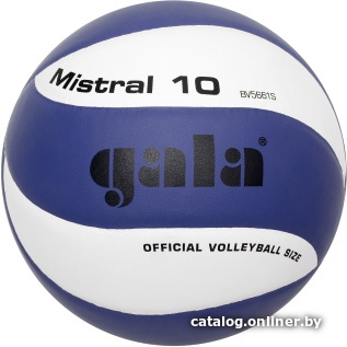 

Волейбольный мяч Gala Mistral 10 BV5661S (5 размер)