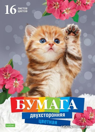 

Набор цветной бумаги Hatber Котенок 16Бц4_20982 (16 цв.)