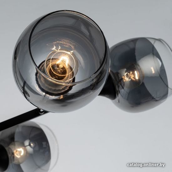 

Люстра средней высоты Arte Lamp Salm A3580PL-6BK