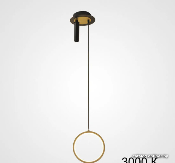 

Подвесная люстра ImperiumLoft String01 213719-26