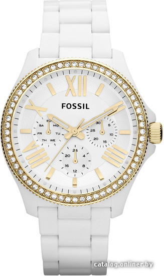 

Наручные часы Fossil AM4493