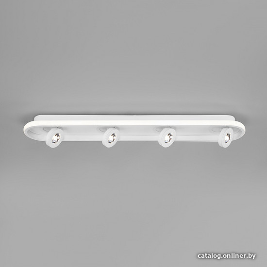 

Припотолочная люстра Евросвет Slam 20123/4 LED белый