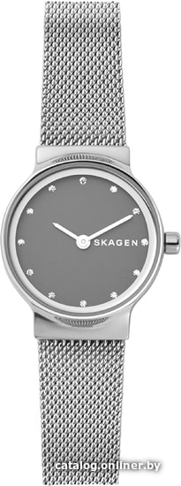 

Наручные часы Skagen SKW2667