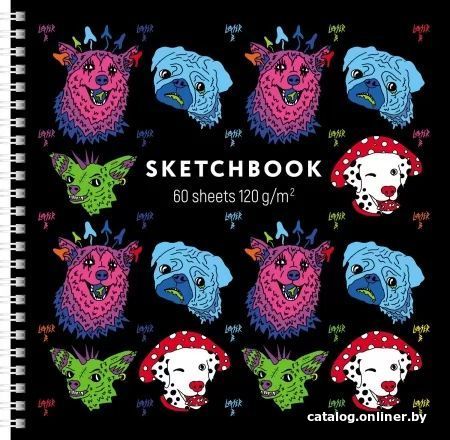 

Общая тетрадь Hatber Premium SketchBook. Лазер Би 60Тт4Aгр_27941 (60 л)