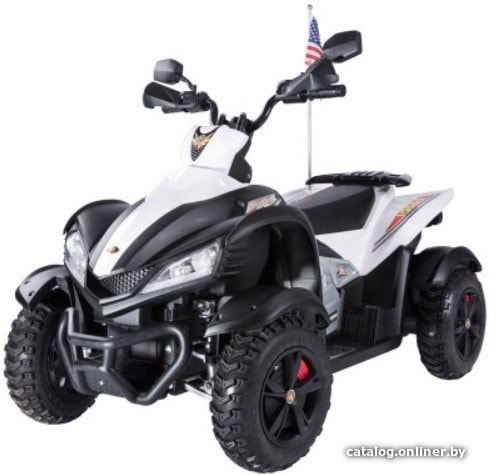 

Электроквадроцикл RiverToys P333PP (белый)