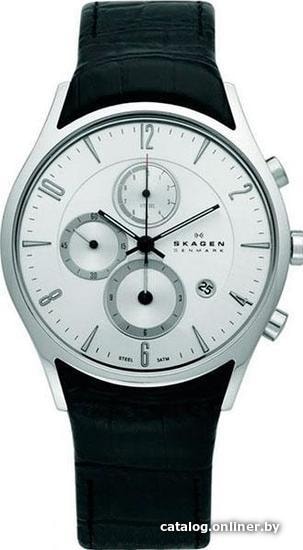 

Наручные часы Skagen 329XLSLС