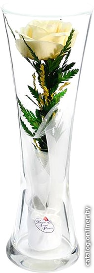 

Цветы, букеты Natural Flower Products Композиция из белых роз JbOYj