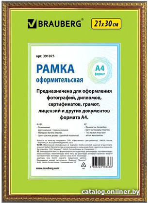 

Фоторамка BRAUBERG Hit5 391075