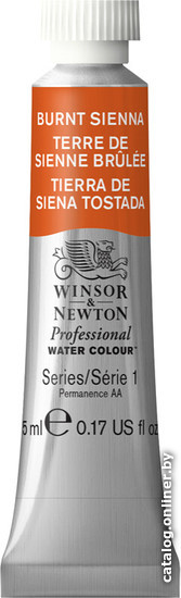 

Акварельные краски Winsor & Newton Professional №074 102074 (5 мл, сиена жженая)