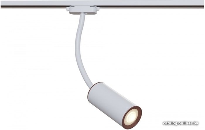 

Спот Maytoni Track Lamps TR010-1-GU10-W