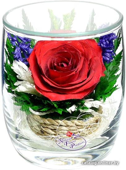 

Цветы, букеты Natural Flower Products Композиция из красных роз ZTY