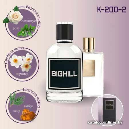 

Парфюмерная вода Bighill BIG-K-200-2 EdP (100 мл)