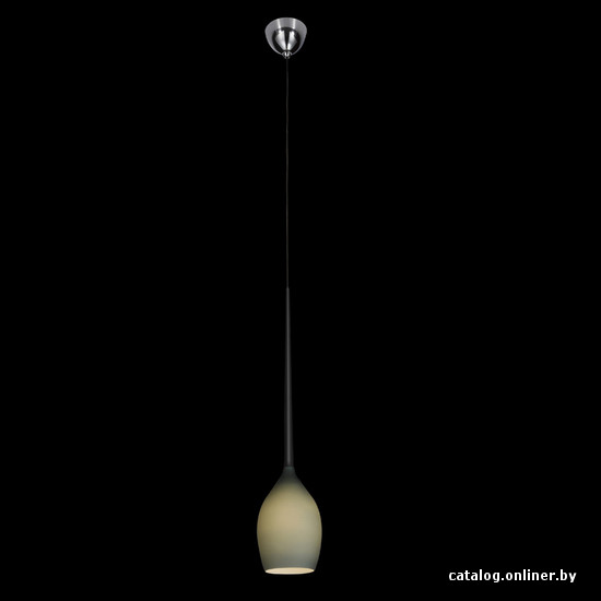 

Светильник Lightstar 807111