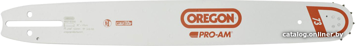 

Шина для пилы Oregon 163SFHD025