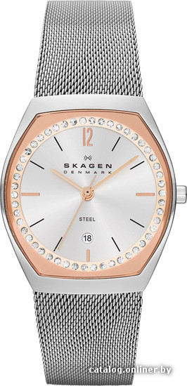 

Наручные часы Skagen SKW2051