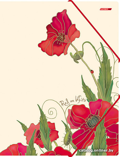 

Папка для бумаг Hatber Red on White Пк4р_10641