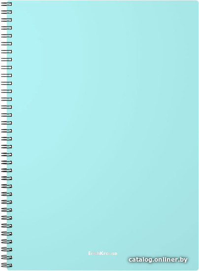 

Набор тетрадей Erich Krause Pastel Mint 80 л клетка 080245254-53701 (2 шт)