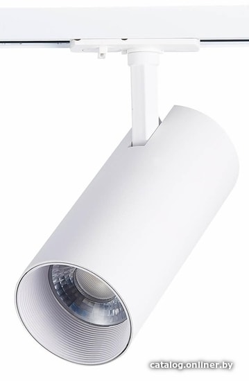 

Трековый светильник ST Luce Mono ST350.536.30.24