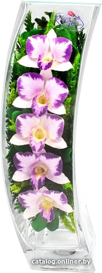

Цветы, букеты Natural Flower Products Композиция из фиолетово-белых орхидей ZxJV
