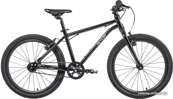 

Детский велосипед JetCat Race Pro 20 (черный)