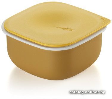

Контейнер Guzzini Regeneration 52900206
