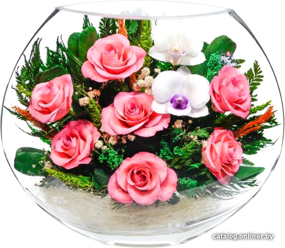 

Цветы, букеты Natural Flower Products Композиция из розовых роз и белых орхидей LTYw-02