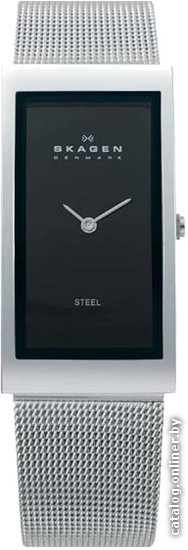 

Наручные часы Skagen 359USSB