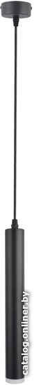 

Светильник Arte Lamp Hubble Pendant A6811SP-1BK