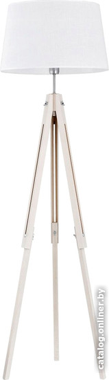 

Торшер TK Lighting TKF2972