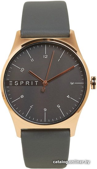 

Наручные часы Esprit ES1G034L0035