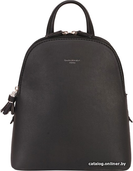 

Городской рюкзак David Jones CM5136 (черный)