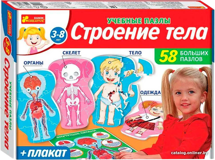 

Развивающая игра Ranok-Creative Строение тела 13120142Р