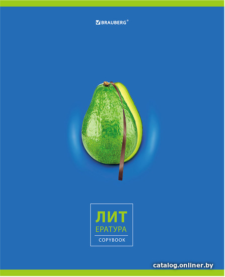 

Тетрадь предметная BRAUBERG Avocado. Литература 404281 (48 л, линейка)