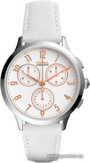 

Наручные часы Fossil CH4000