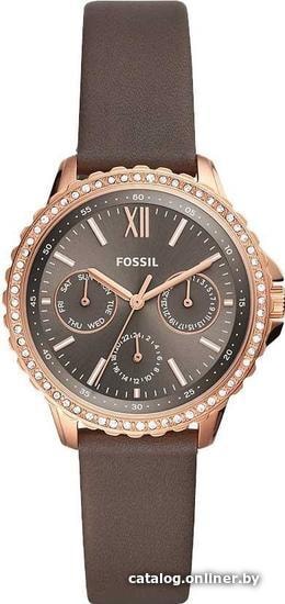 

Наручные часы Fossil ES4889