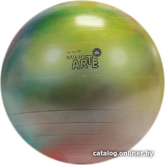

Гимнастический мяч Gymnic Arte 65 BRQ