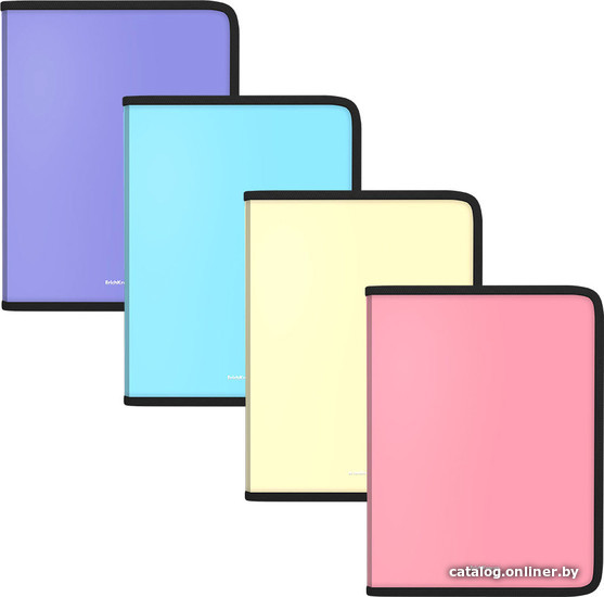 

Набор папок Erich Krause Matt Pastel A5+ ассорти 50357 (4 шт)