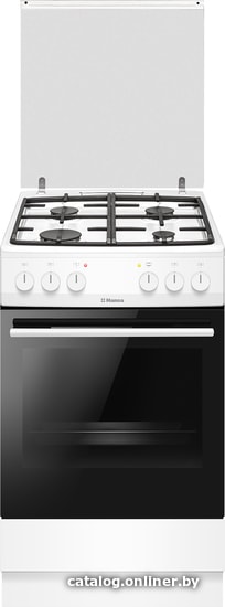 

Кухонная плита Hansa FCMW580254