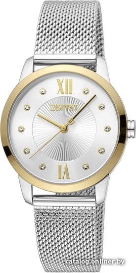 

Наручные часы Esprit ES1L276M1135