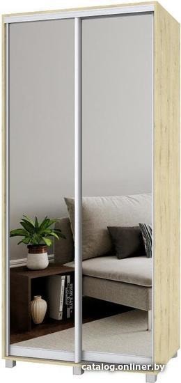 

Шкаф-купе Modern Роланд Р60 + Р30 (ирландский дуб)