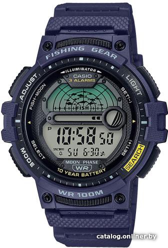 

Наручные часы Casio WS-1200H-2A