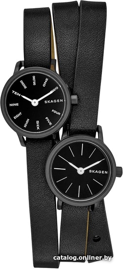 

Наручные часы Skagen SKW2364