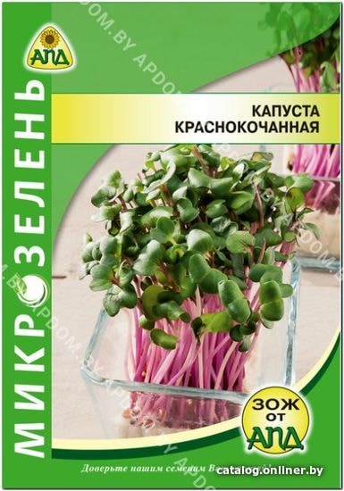 

Семена АПД Микрозелень Капуста краснокочанная 1500 шт