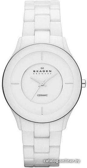 

Наручные часы Skagen SKW2066