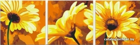 

Модульная картина по номерам PaintBoy Хризантемы P059